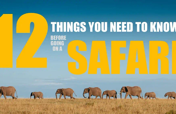 12 Things You Need to Know Before Going on a Tanzanian Safari