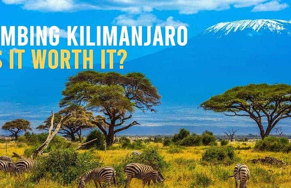 Is it Worth it to Climb Kilimanjaro?