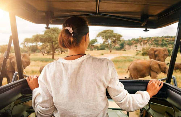 10 Reasons to go on a Tanzanian Safari