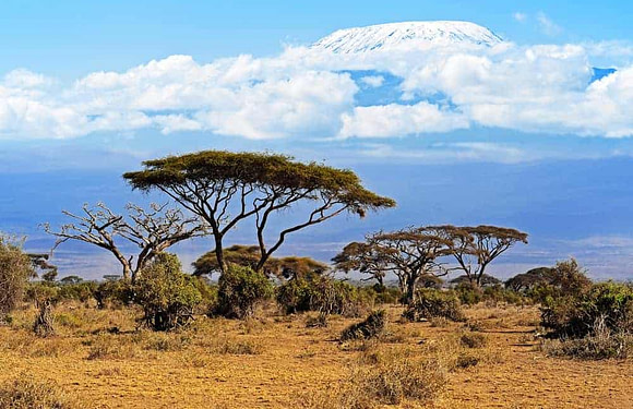 Mount Kilimanjaro National Park – Birth of a National Treasure