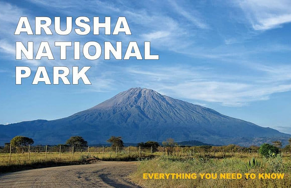 Arusha National Park: Everything You Need to Know