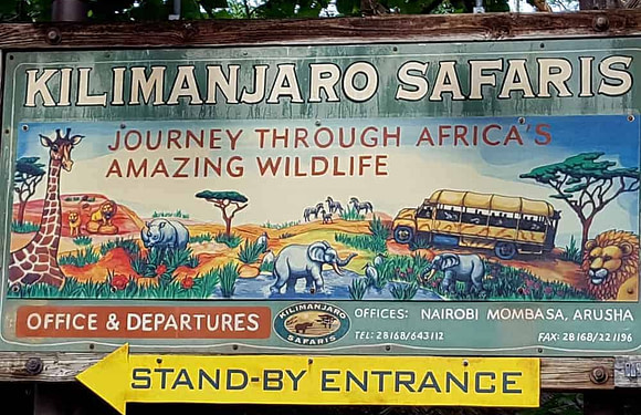 Disney’s Kilimanjaro Safari vs. Real Safari: How Does it Compare?