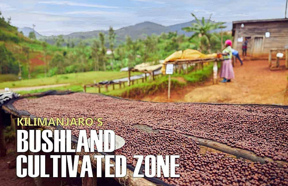 The Bushland/Cultivated Zone of Mount Kilimanjaro – What You’ll See