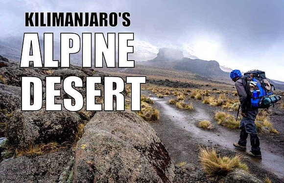 The Alpine Desert Zone of Kilimanjaro – What to Expect