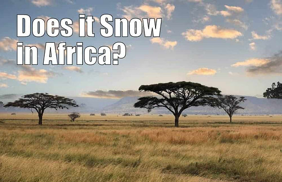 Does it Snow in Africa?