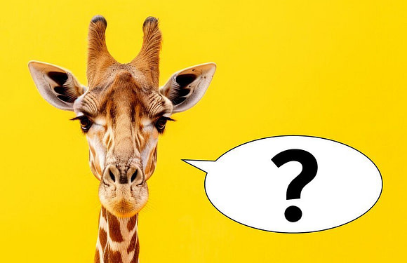 What Sound Does a Giraffe Make?