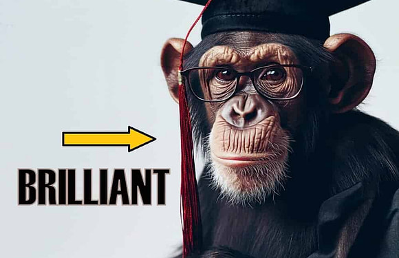 The 15 Smartest Animals in the World