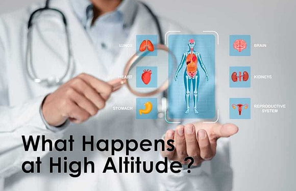 What Happens to the Human Body on Mount Kilimanjaro?