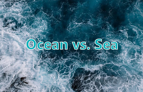 Ocean vs Sea: What’s The Difference?